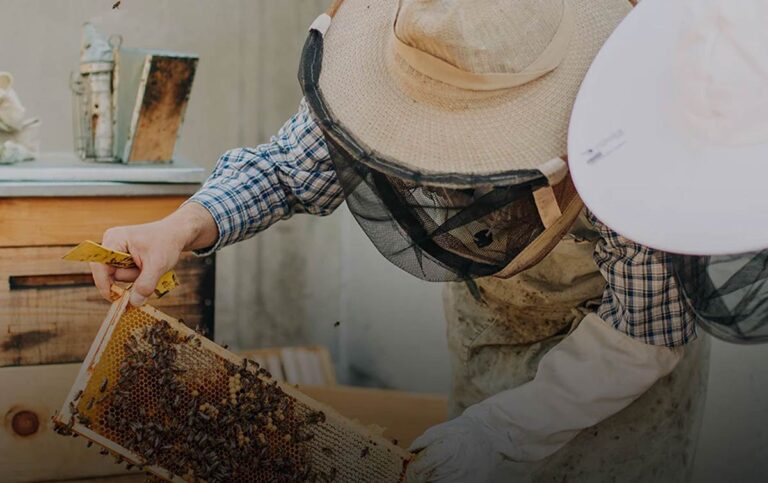 Honeybee ritual